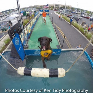 G0311229-2_Ken Tidy_2016-6c7ac319e8.jpg