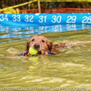 _KPT4988-Edit-2_Ken Tidy_2016-f3ecc9c1fe