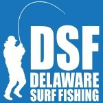 Delaware Surf Fishing