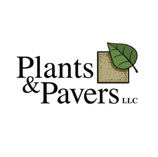 Plants & Pavers
