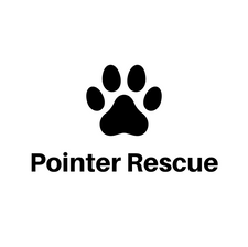 Pointer Rescue