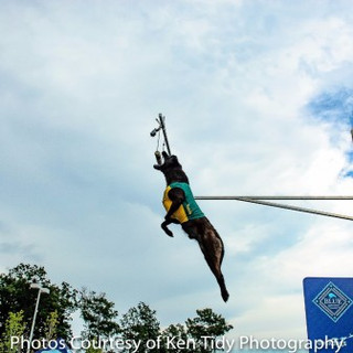 _KPT0185-2_Ken Tidy_2016-d9b2386579.jpg